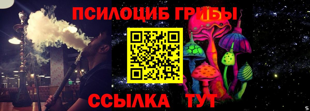Псилоцибиновые грибы Cubensis  Вход с VPN  Вольск  Галлюциногенные грибы Psilocybine cubensis 