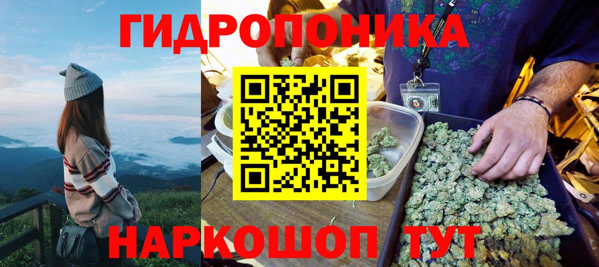 Шишки марихуана Ganja Вольск